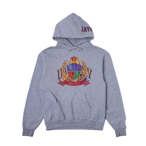 Sabbatical Recycle Program Hoodie Albany