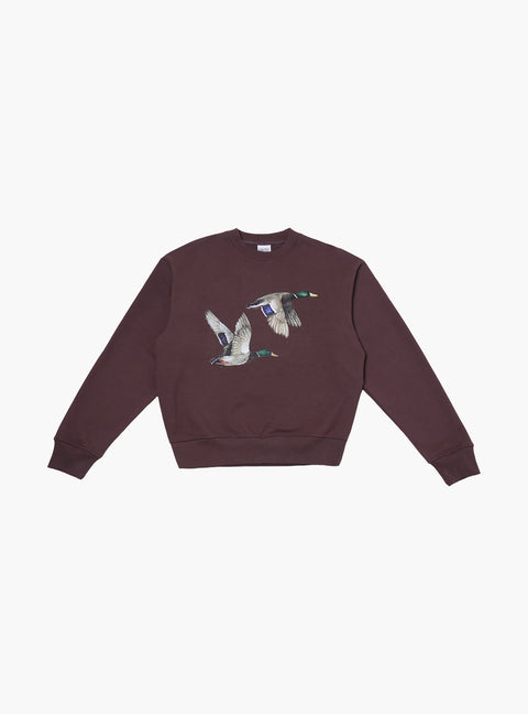 Sabbatical Ducks Crewneck Button Brown