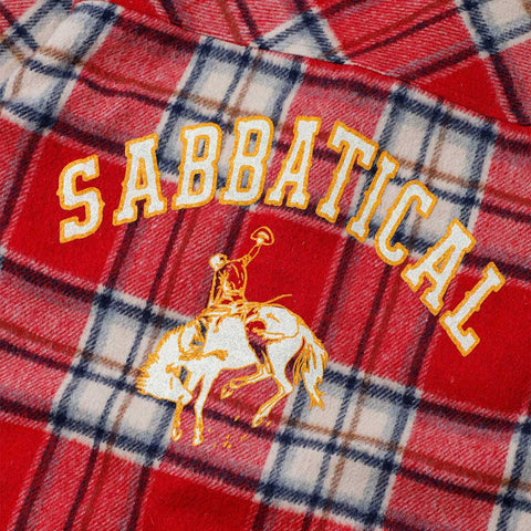 Sabbatical Recycle Program Flannel 5 Multi