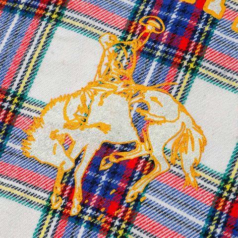 Sabbatical Recycle Program Flannel 4 Multi