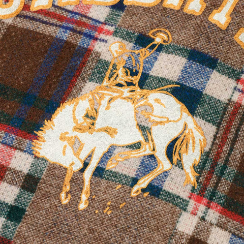 Sabbatical Recycle Program Flannel 17 Multi