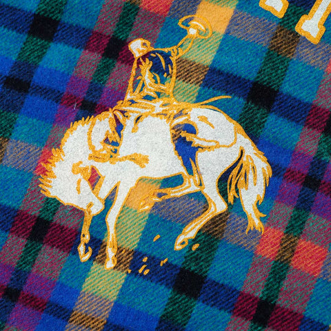 Sabbatical Recycle Program Flannel 14 Multi