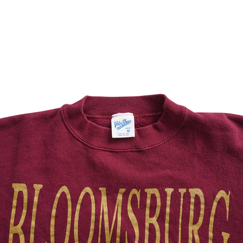 Vintage 90s Bloomsburg University Sweater
